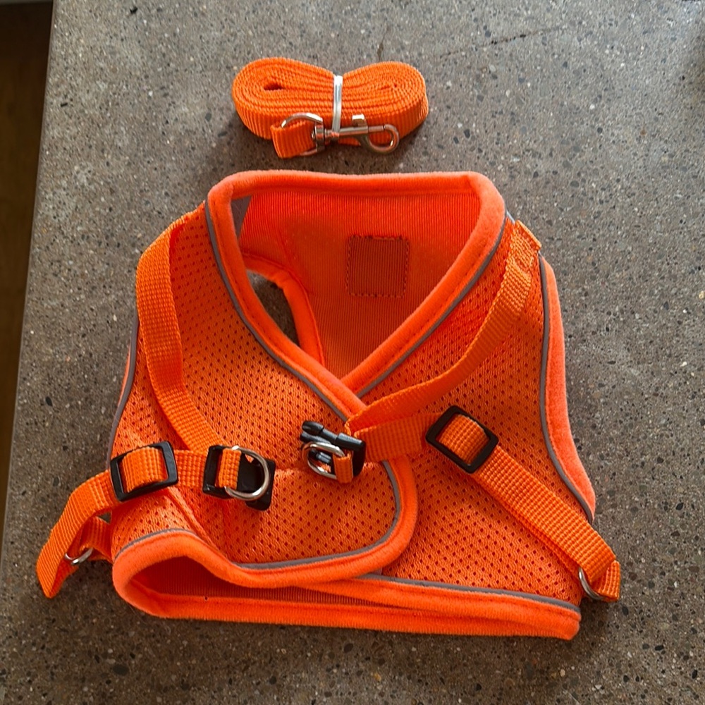 Vibrant Orange Cat Harness with Reflective Trim and Leash